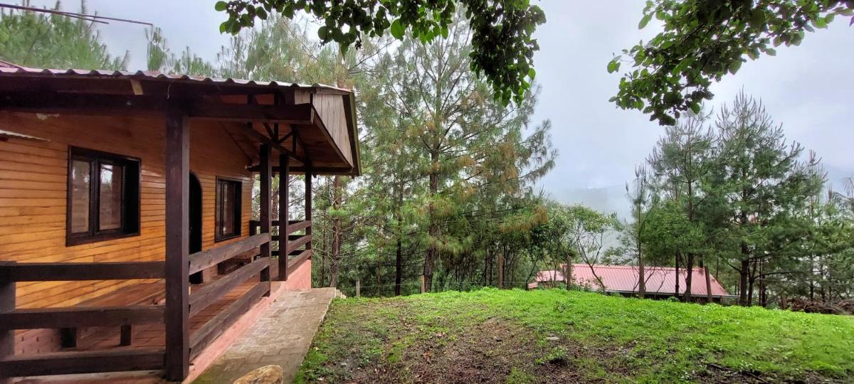 Cabaña La Vía Láctea - Housity