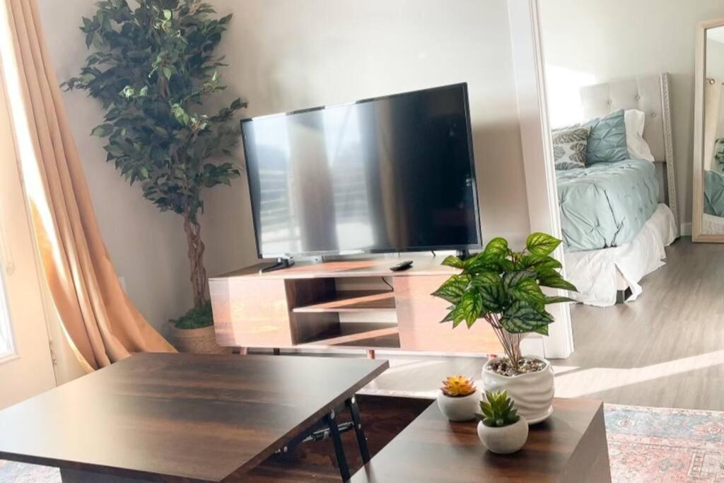 Museum District Apt Retreat w/BBQ Patio and Pool - Housity