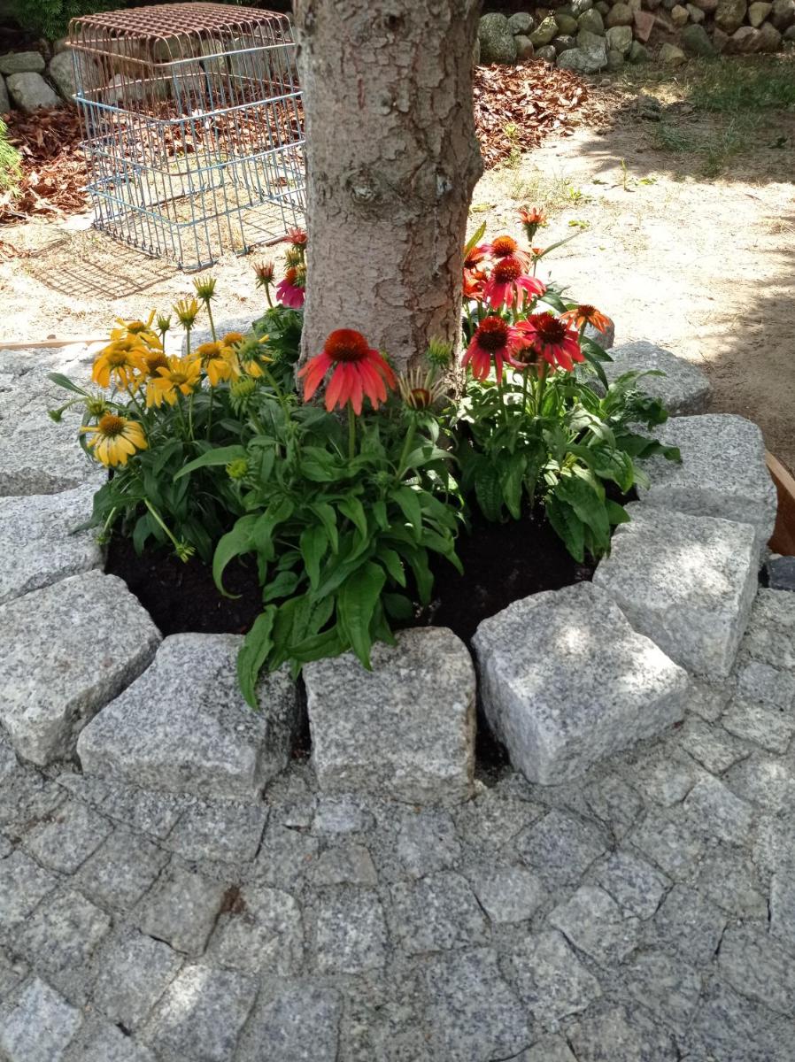 Apartament Cisowa - Housity