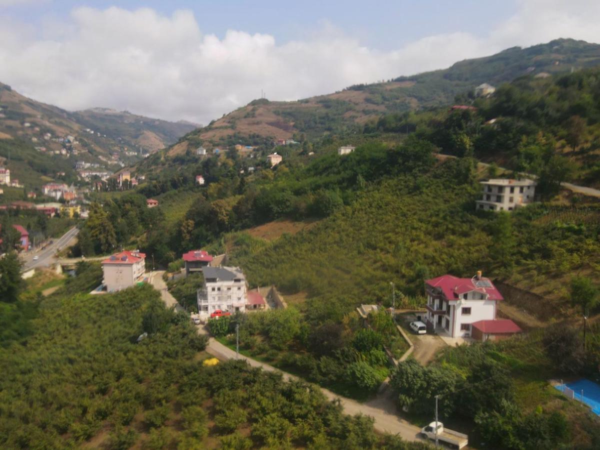 Villa of Trabzon - Housity