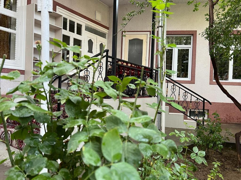 Bruce hostel - Hizvo