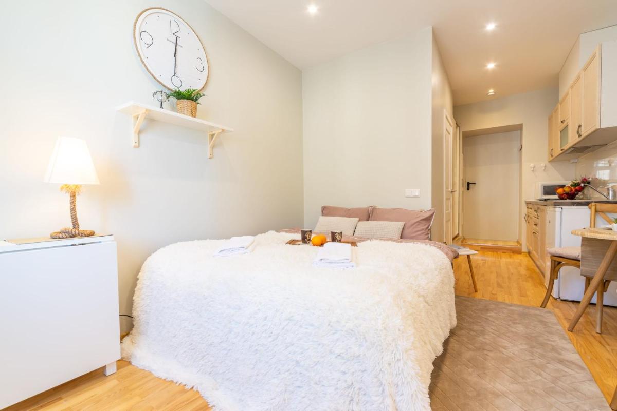 Valdemara Design Studio Apartment in City Center - Housity