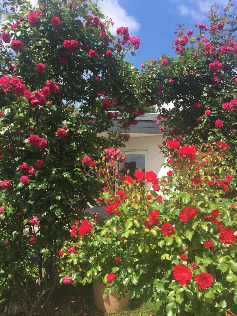 Appartement in Trier-Ruwer - Housity