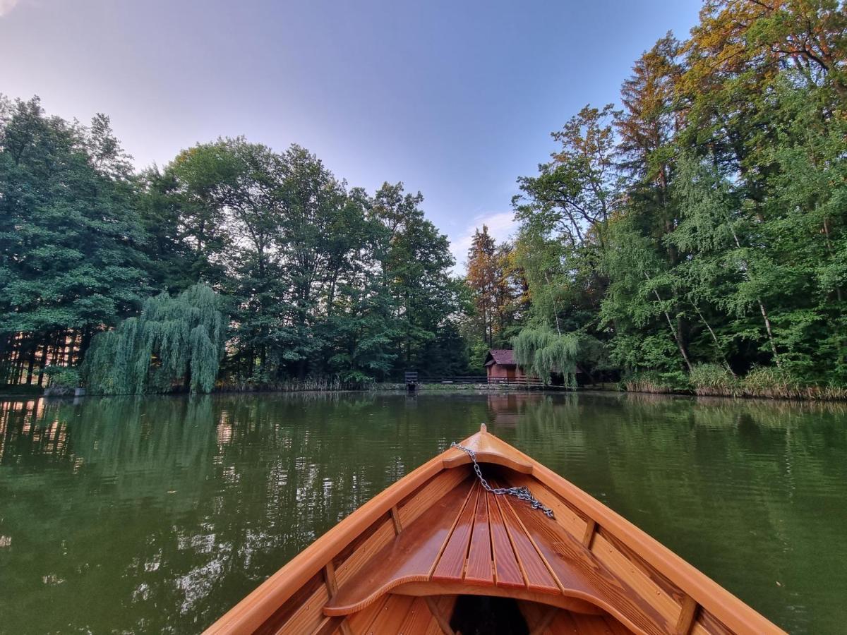 Cottage by the pond Pavel - Housity