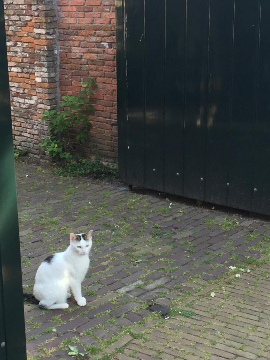 Genesis Voorschoten - Housity