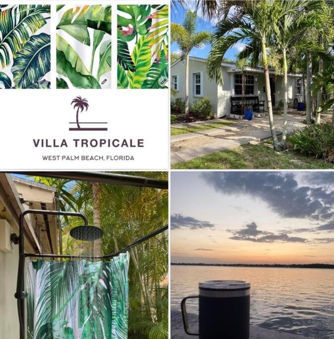 Villa Tropicale in lush garden - Housity