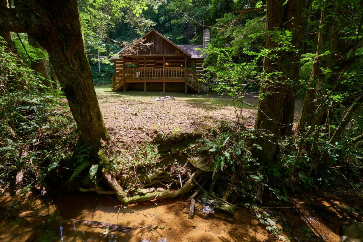 A Cabin In The Woods - Housity