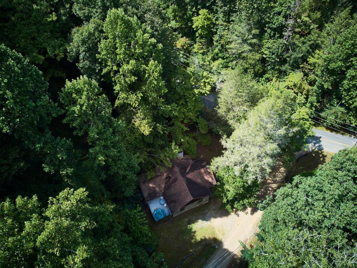 A Cabin In The Woods - Housity