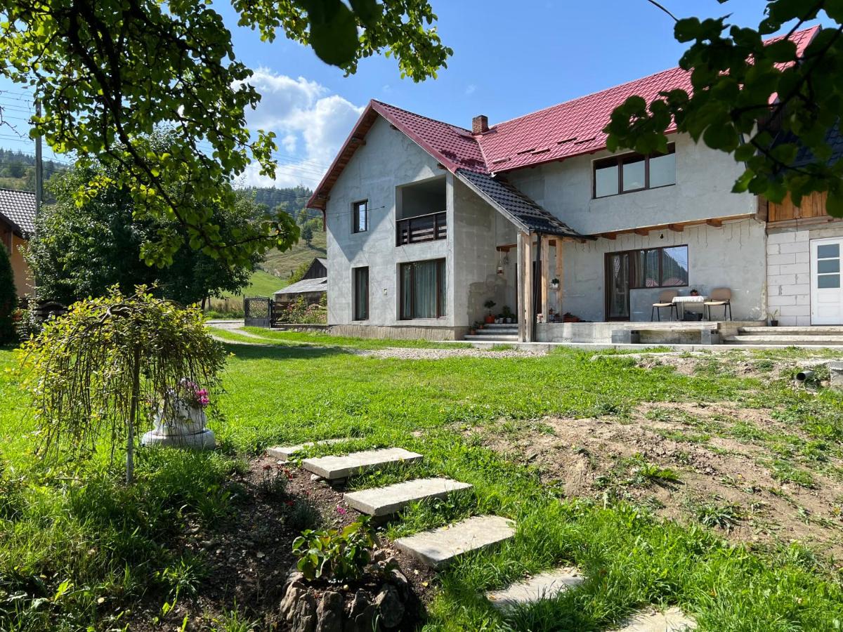 Raspberry Villa - Bucovina - Poiana Micului - Housity