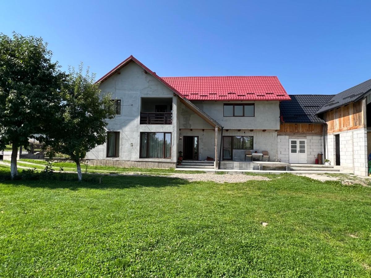 Raspberry Villa - Bucovina - Poiana Micului - Housity