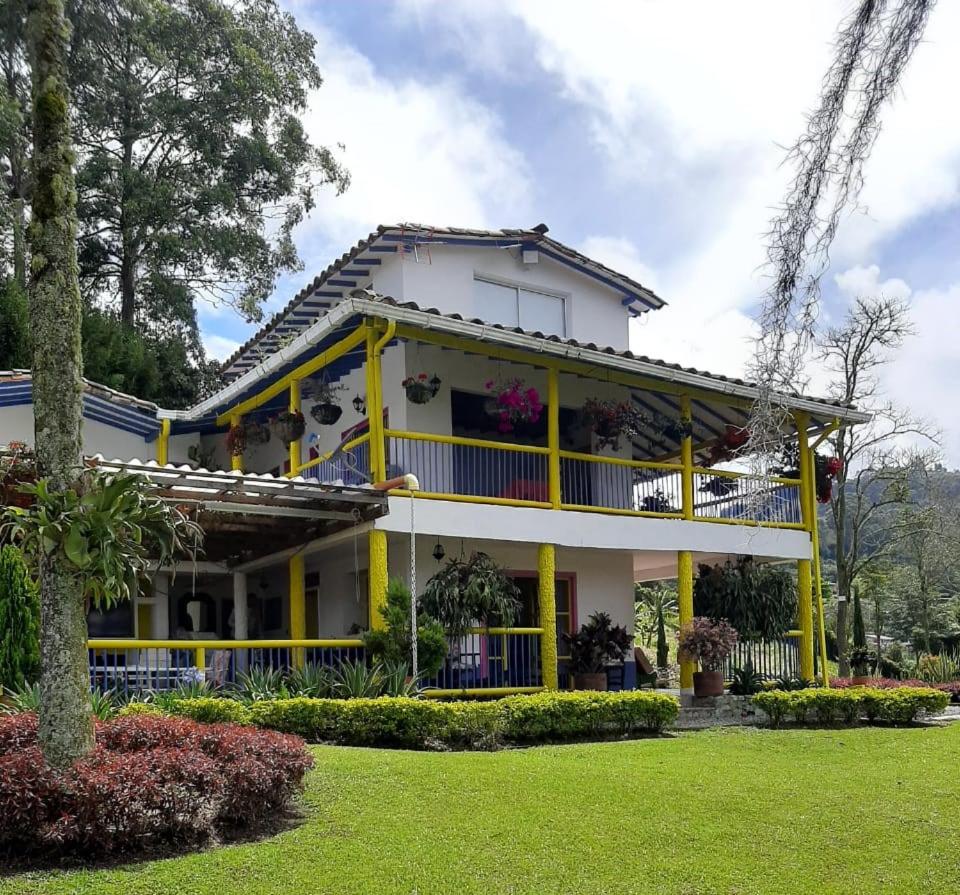 Buscar - Housity