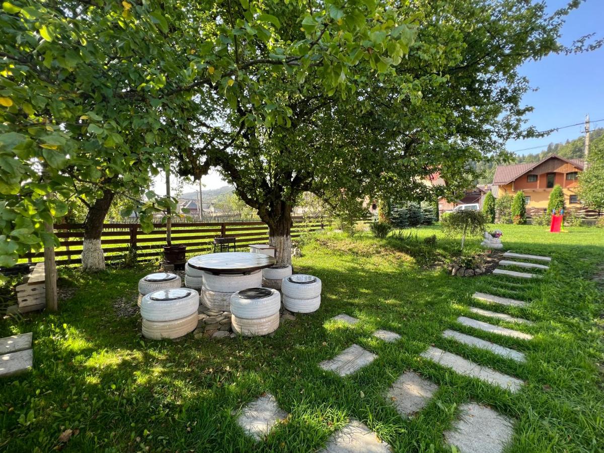 Raspberry Villa - Bucovina - Poiana Micului - Housity
