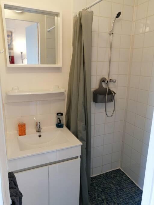 Suitetrails - S1 Logement entier tout équipé Courtenay