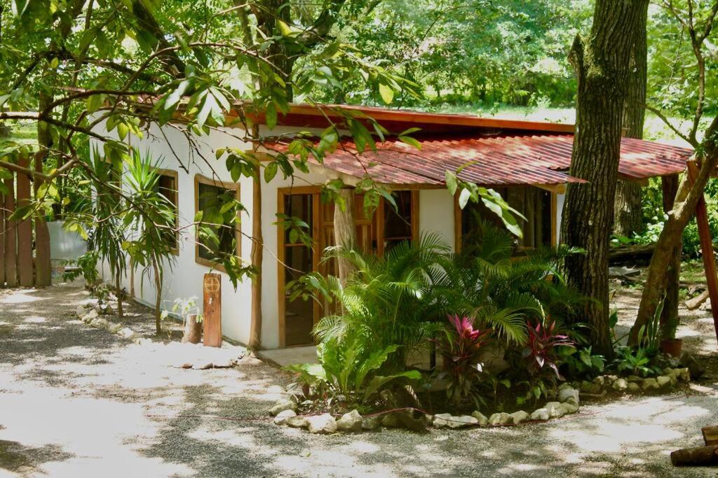 A Nature Lovers Paradise! - Iona Villas - Housity