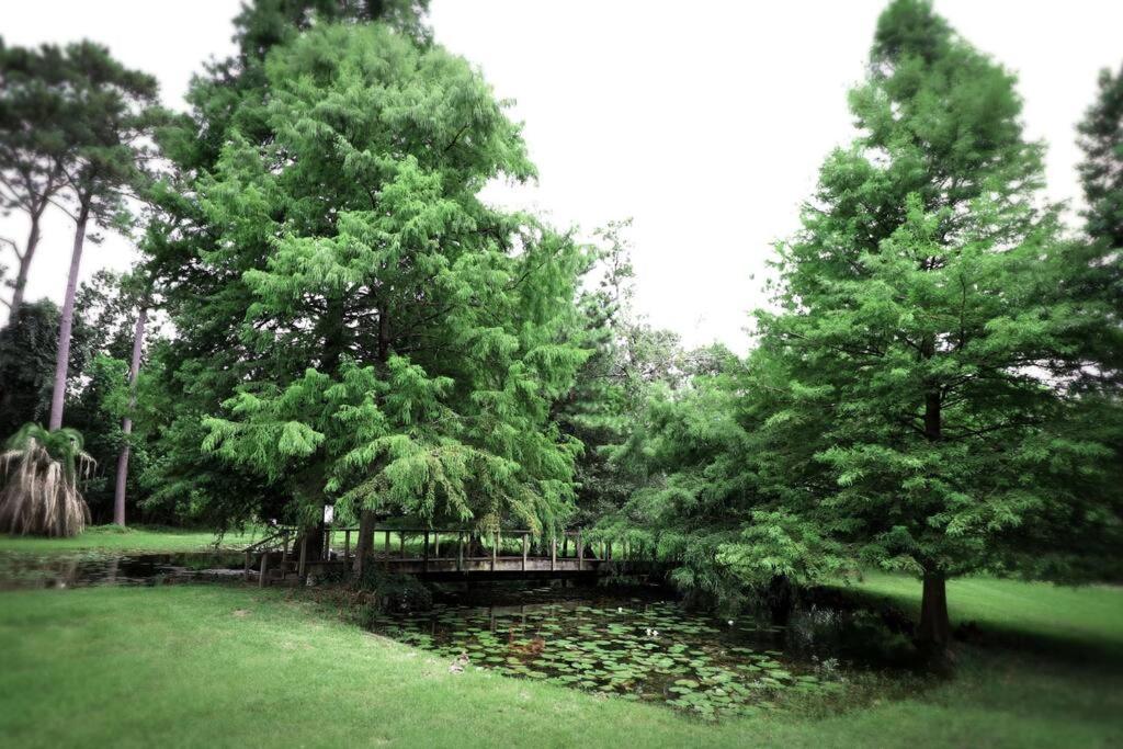 Country Livin.. Sleeps 11.. Available!!! - Housity