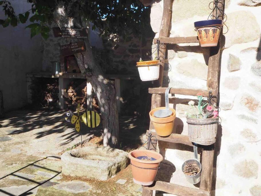 Casa Rural El Guindo - Housity