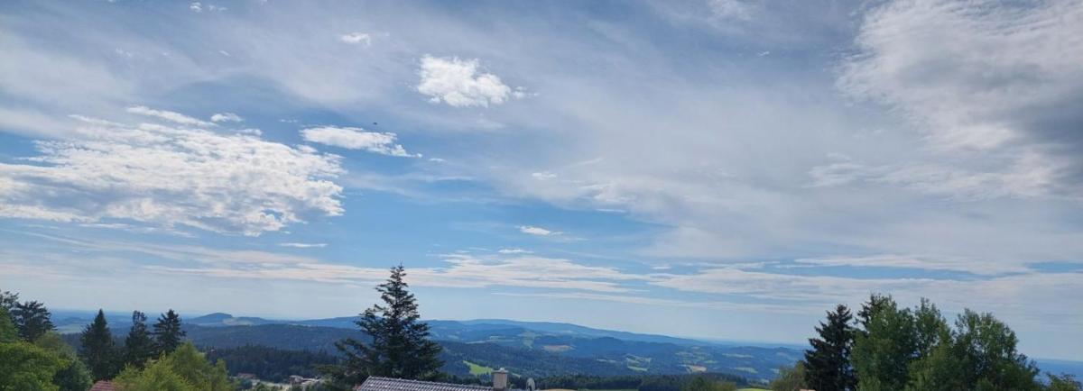 Wald-Panorama-Zimmer - Housity