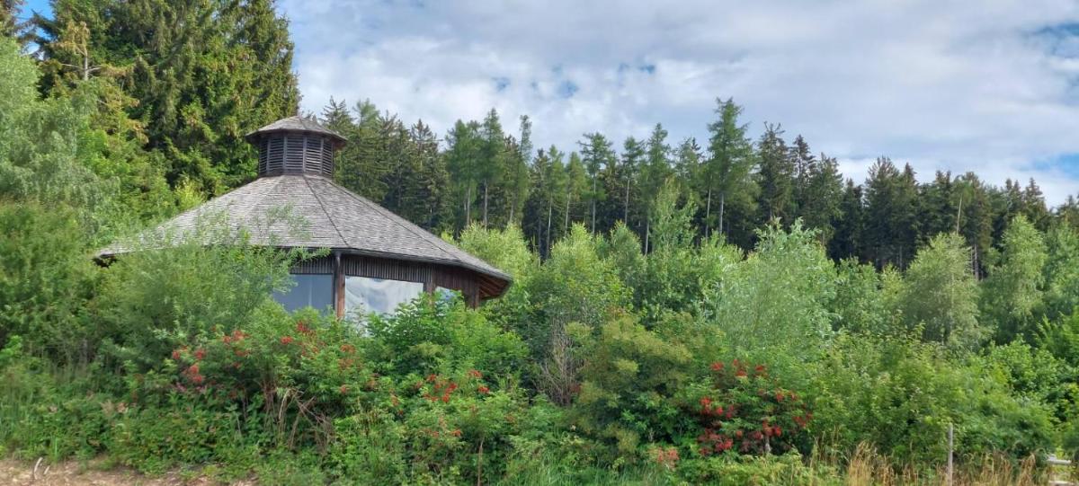 Wald-Panorama-Zimmer - Housity