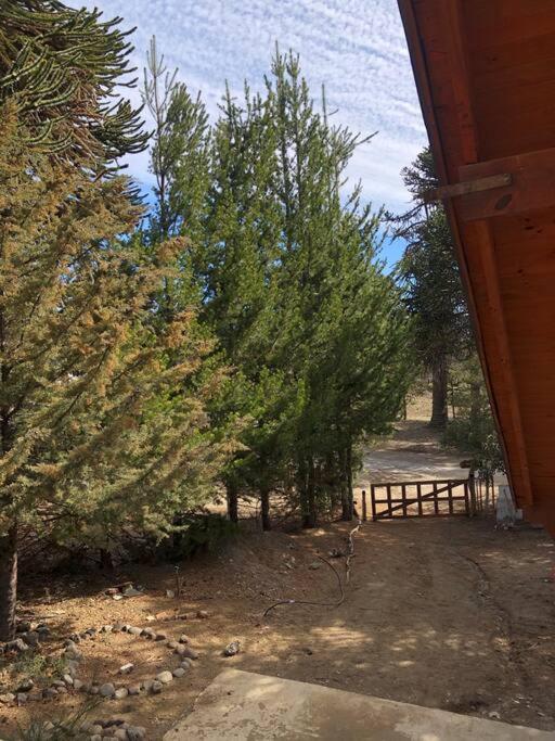 CasaPehuenia, linda cabañ 4 pax, a pasos del Lago - Housity