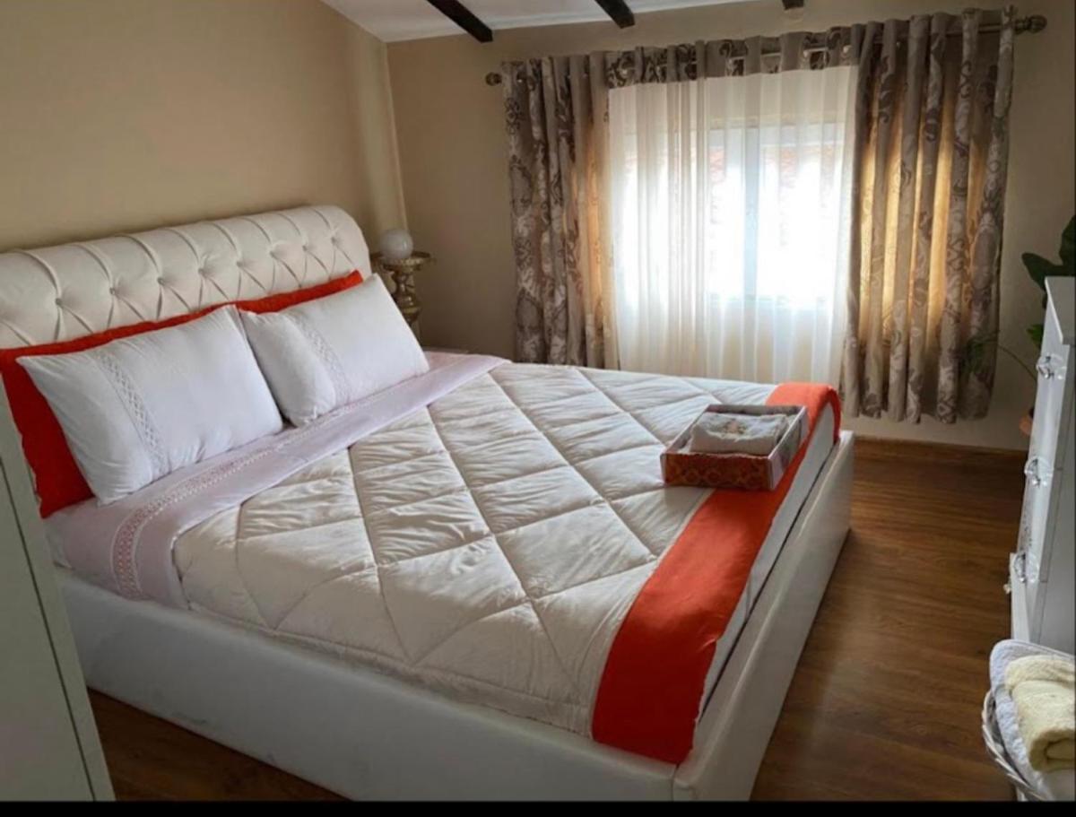 Tedi - Housity