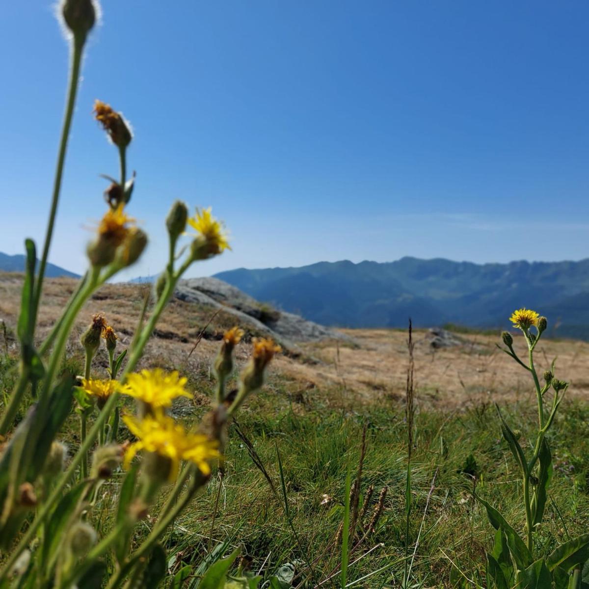 Suitetrails - San giacomo Roburent: grande spazio,camino e relax