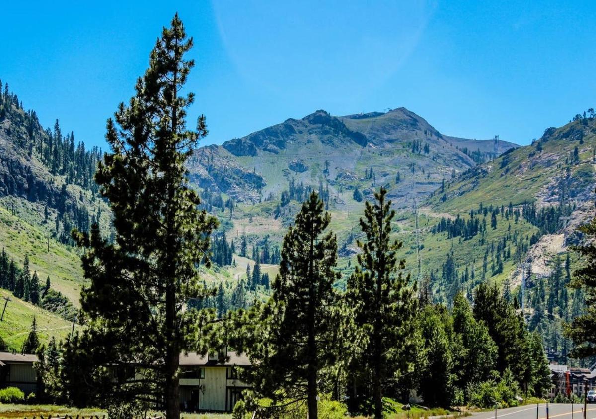 Everline Resort & Spa Rentals by TO - Housity