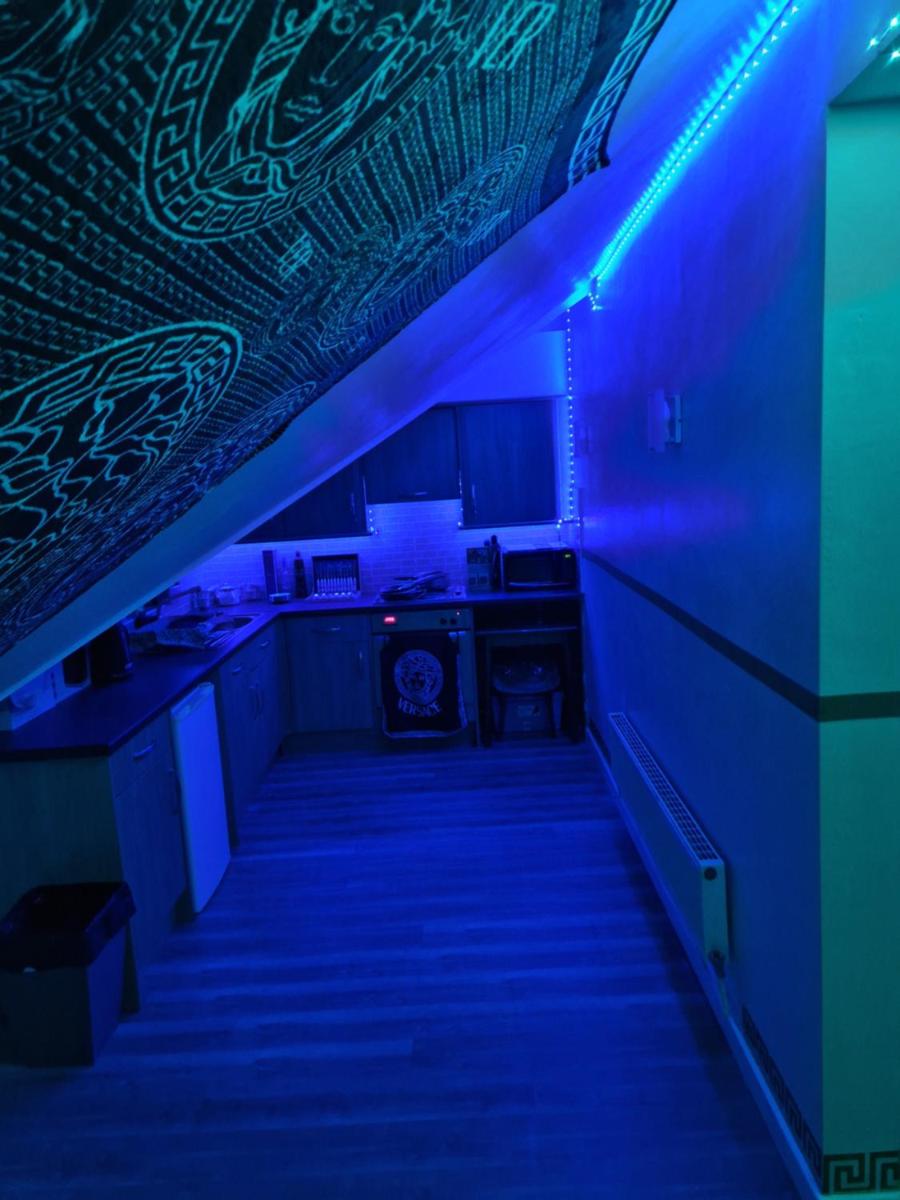 Affordable Versace Designer Full Apartment - Housity