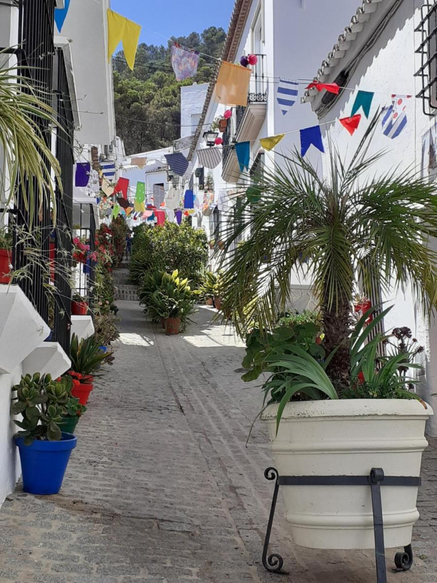 Casa de las Flores - a picture perfect location! - Housity