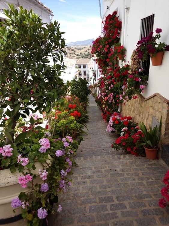Casa de las Flores - a picture perfect location! - Housity