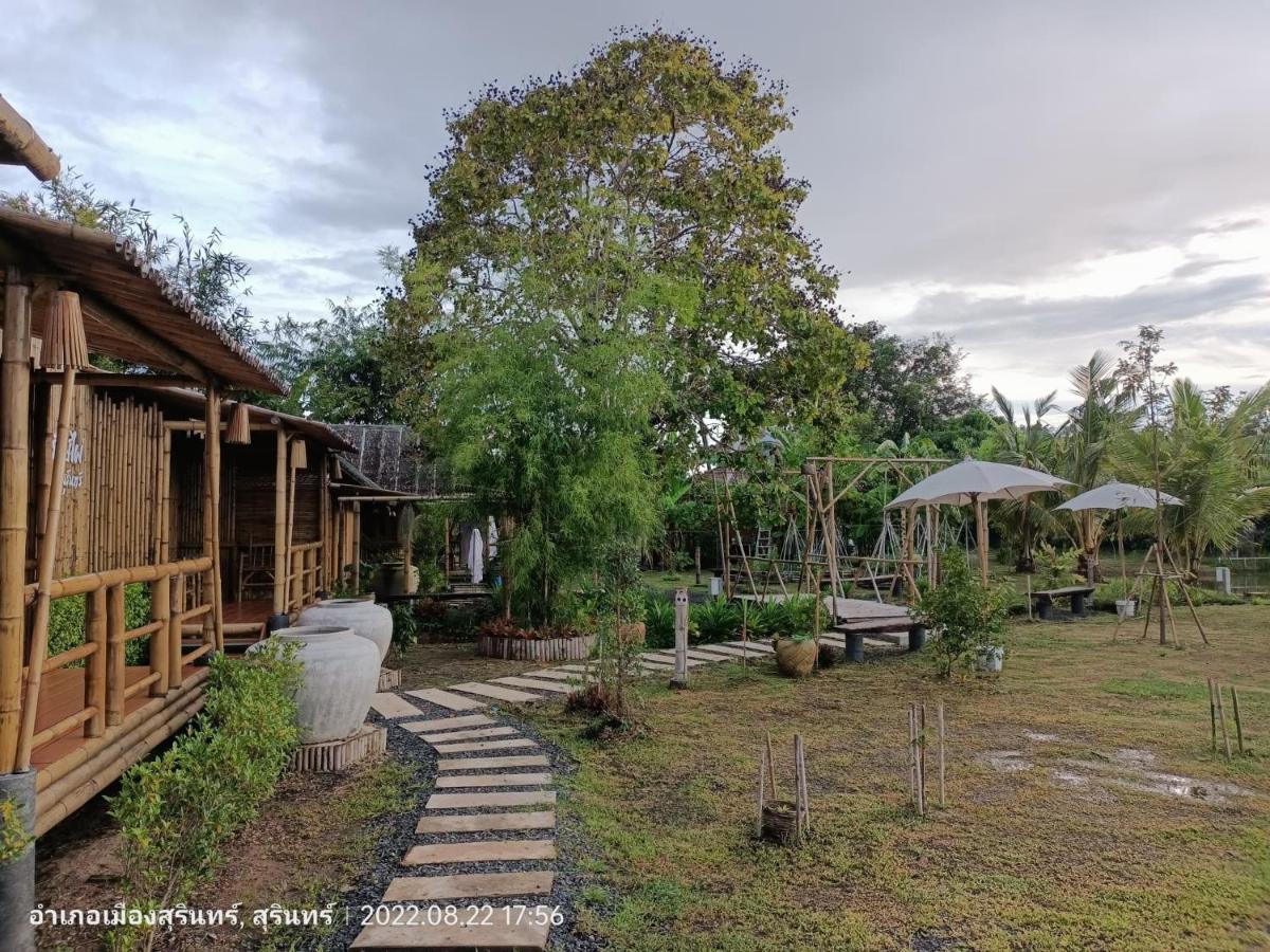 สวนเกษตรรักษ์ไผ่ Bamboo Conservation Farm - Housity