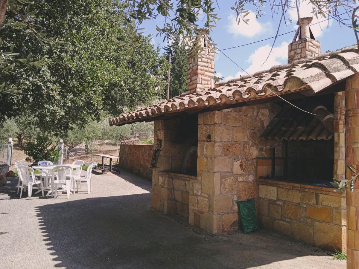 Olympia House - Housity