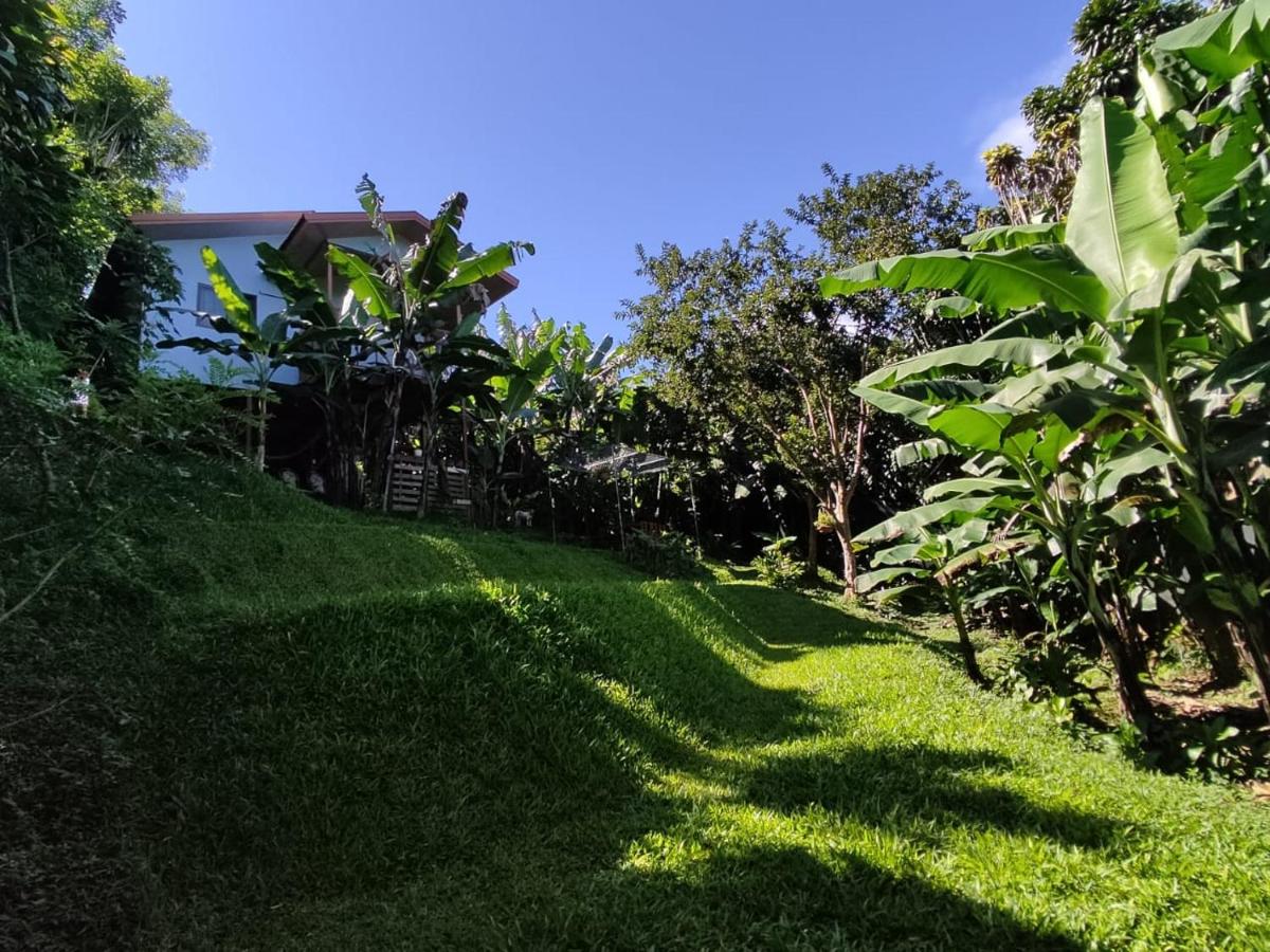 El Buda - Housity