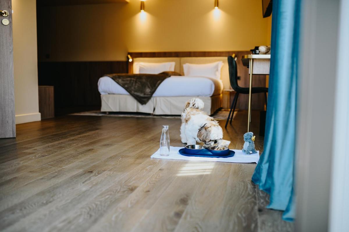 Animal ou animaux domestique(s) séjournant avec des clients dans l'établissement Keystone Hôtel & Spa
