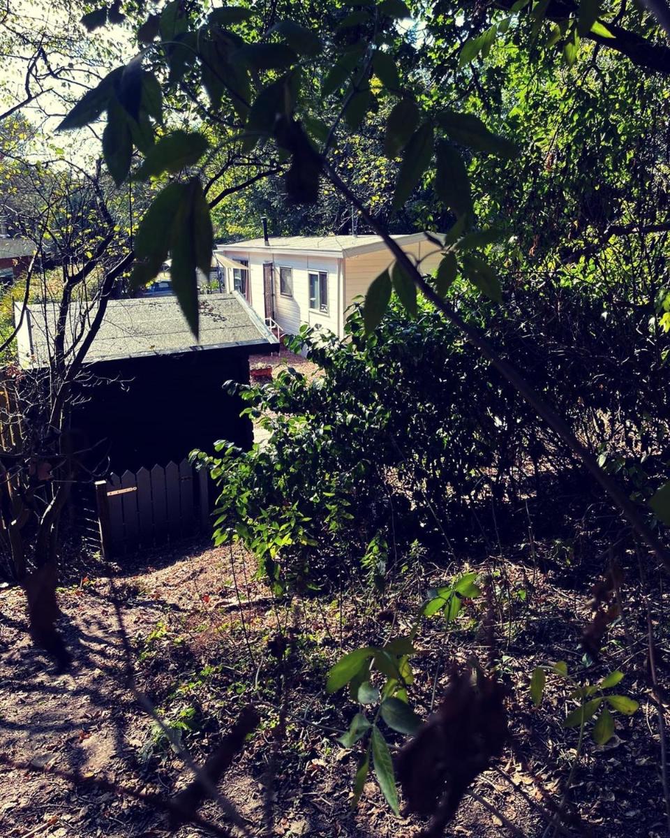 Heerlijk bos chalet met ongekende rust en vrijheid - Housity