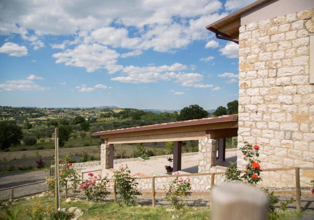 Agriturismo Il Borgo - Housity