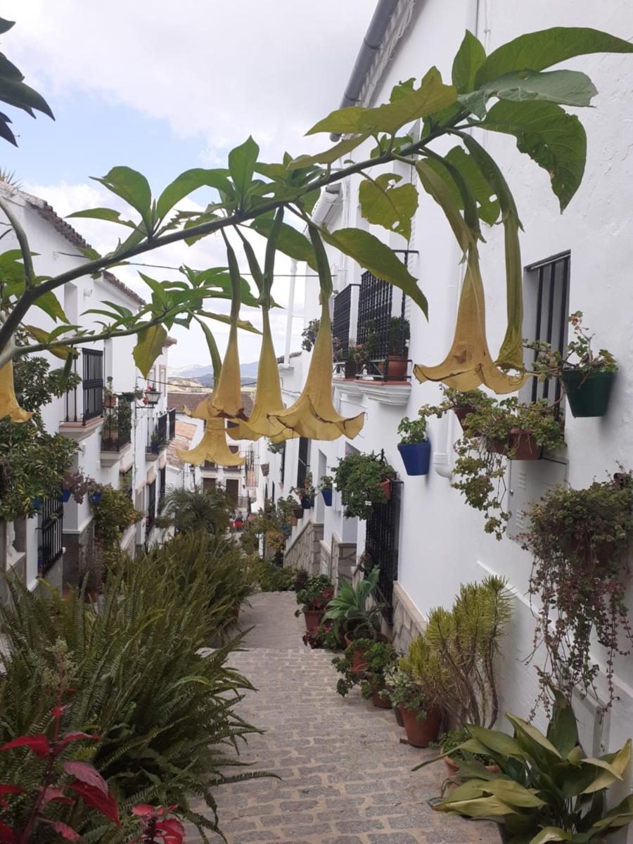 Casa de las Flores - a picture perfect location! - Housity