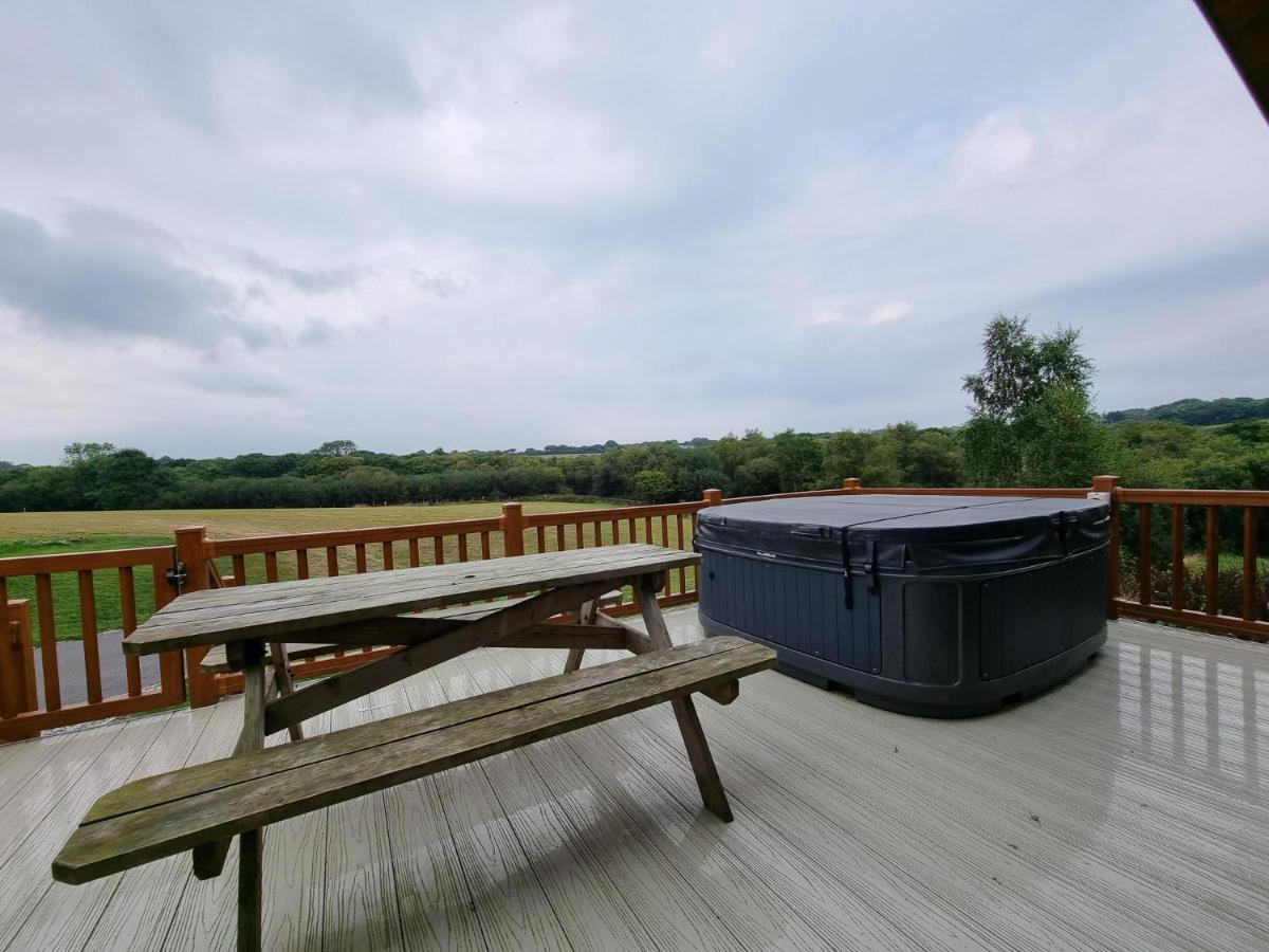 WILLOW Lodge with hot tub - relaxing and peaceful with lovely walk to private fishing lakes - Housity