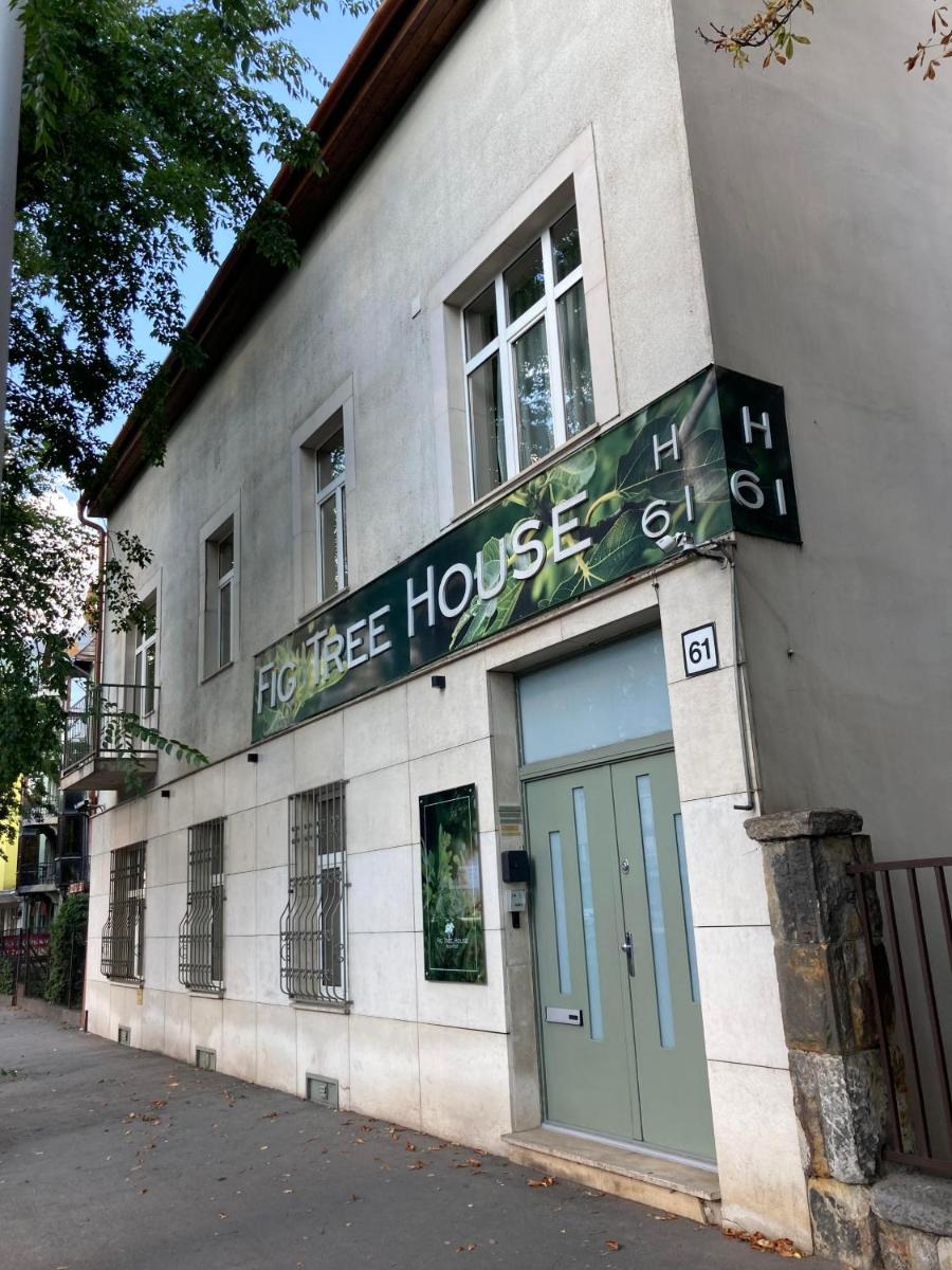 Fig Tree House - Housity