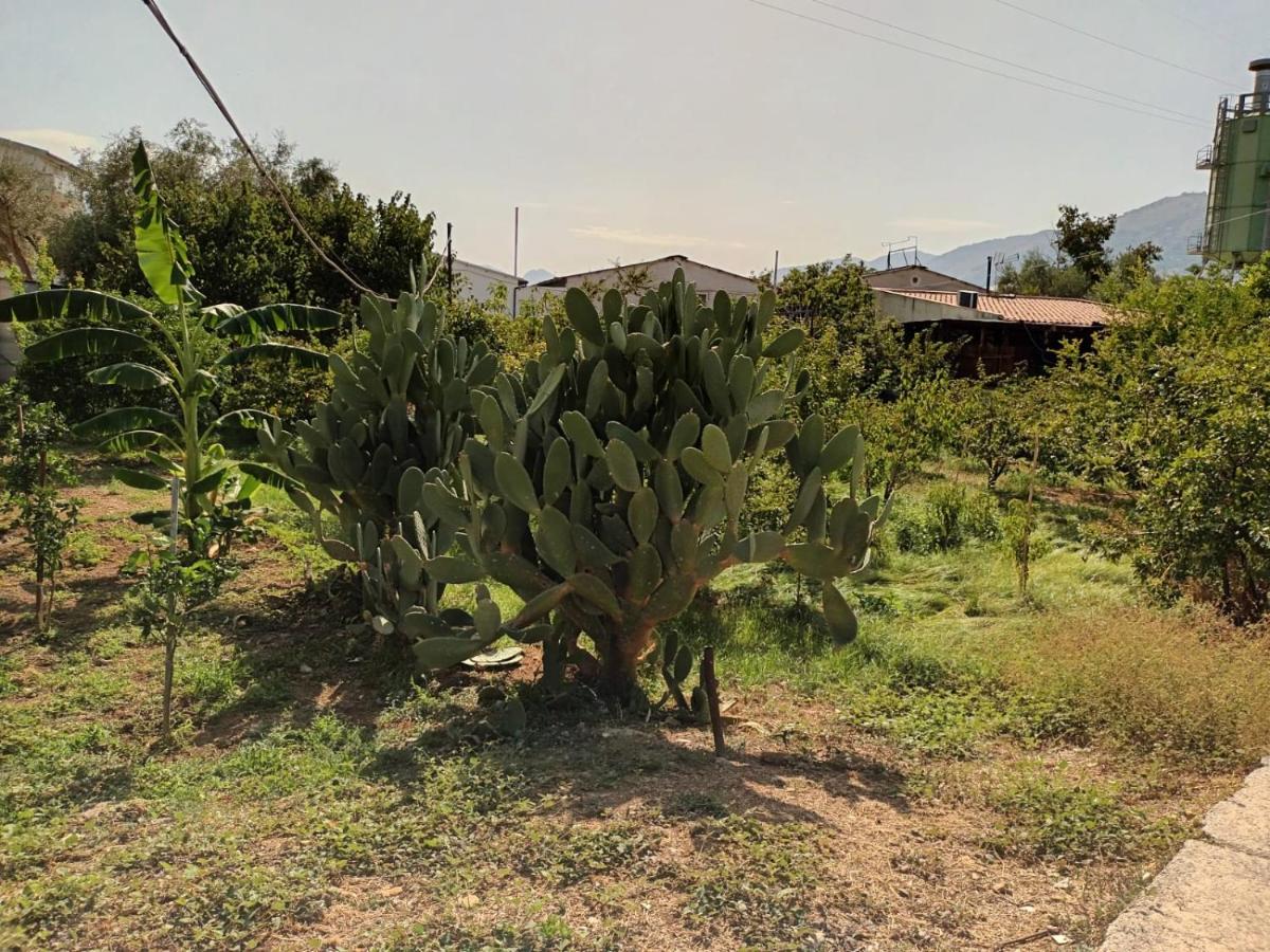 Aromi di Sicilia Casa Vacanze - Housity