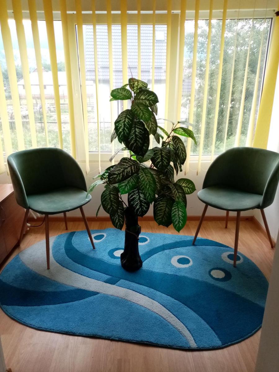 Casa Cristian - Housity