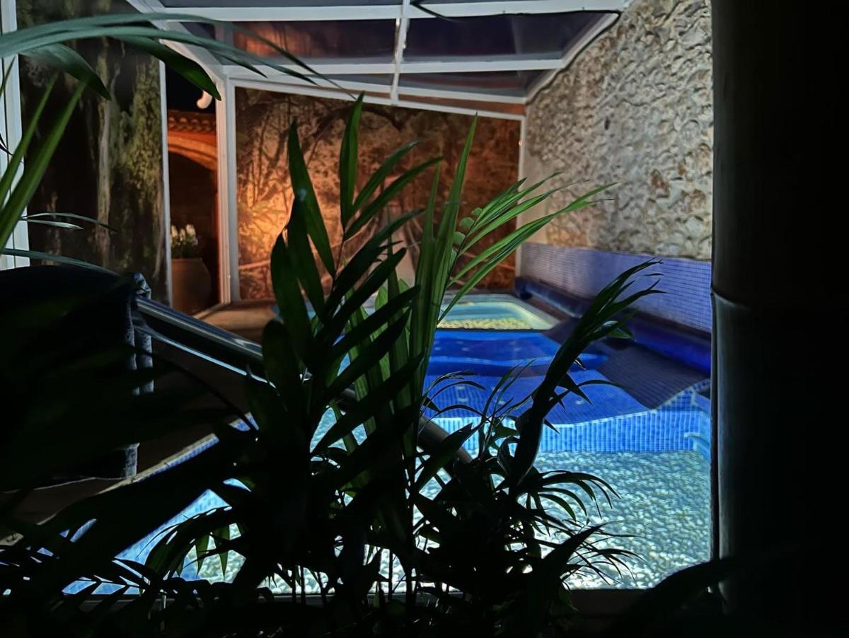 Piscina en o cerca de Les Vinyes Alojamiento Rural Boutique & SPA