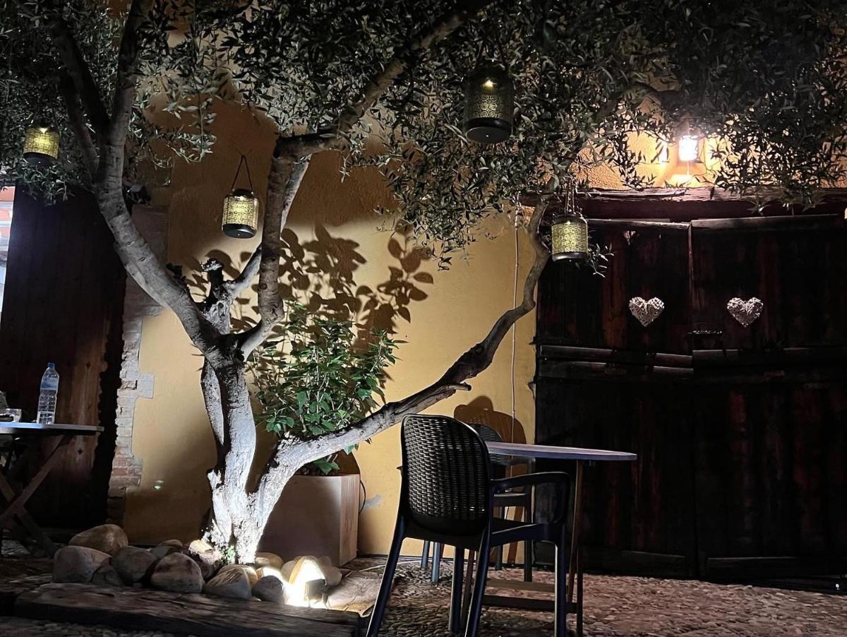 Jardín al aire libre en Les Vinyes Alojamiento Rural Boutique & SPA