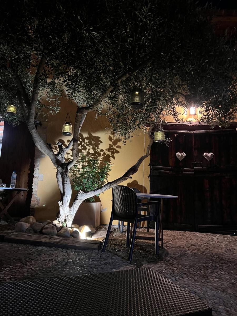 Jardín al aire libre en Les Vinyes Alojamiento Rural Boutique & SPA