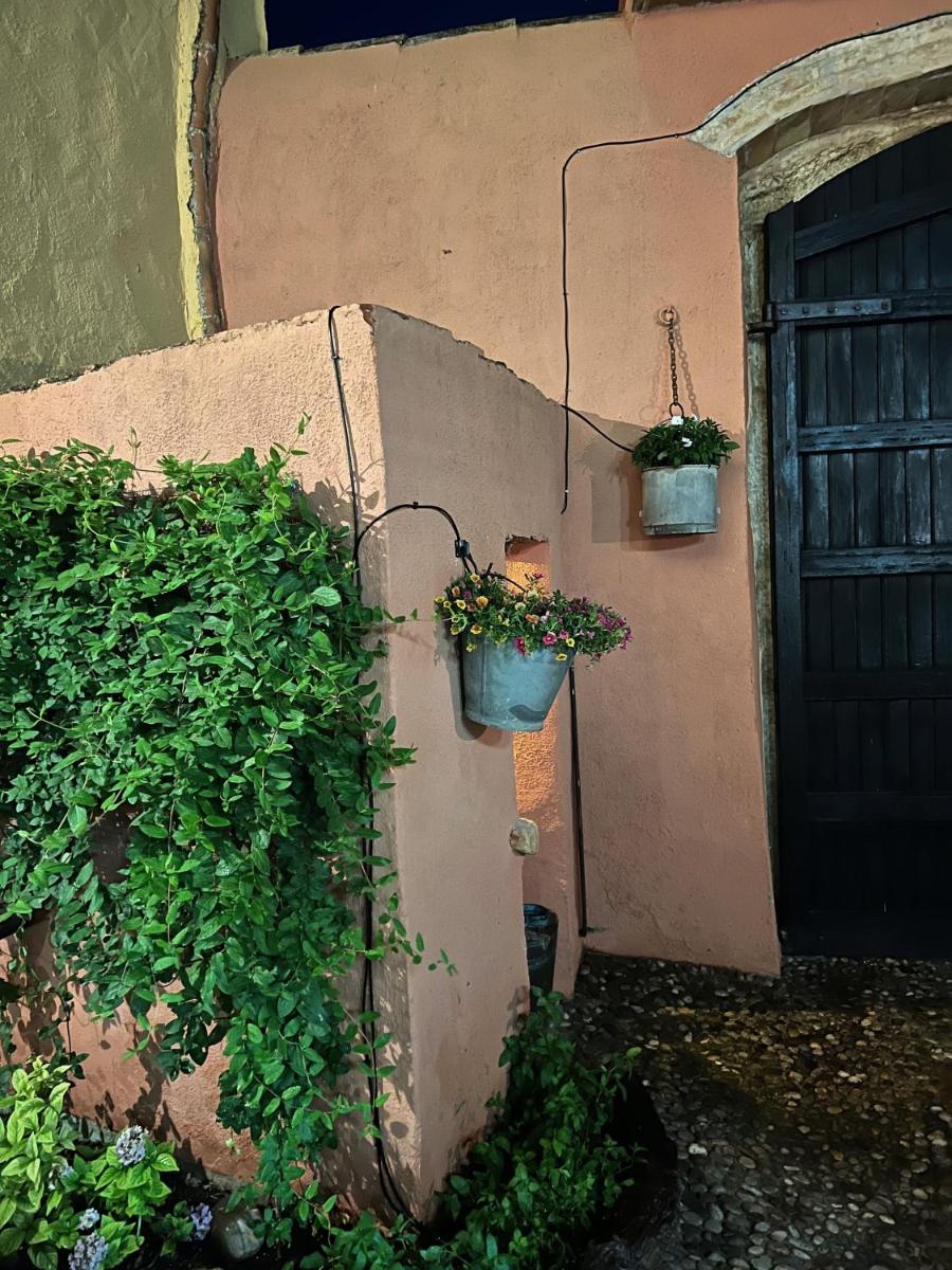 Jardín al aire libre en Les Vinyes Alojamiento Rural Boutique & SPA