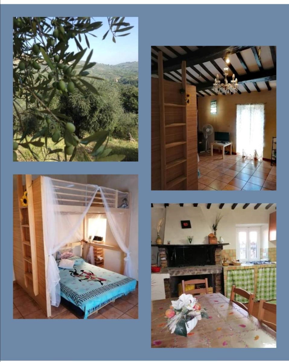 Casa di Olly - Loft incantevole con camino - Housity