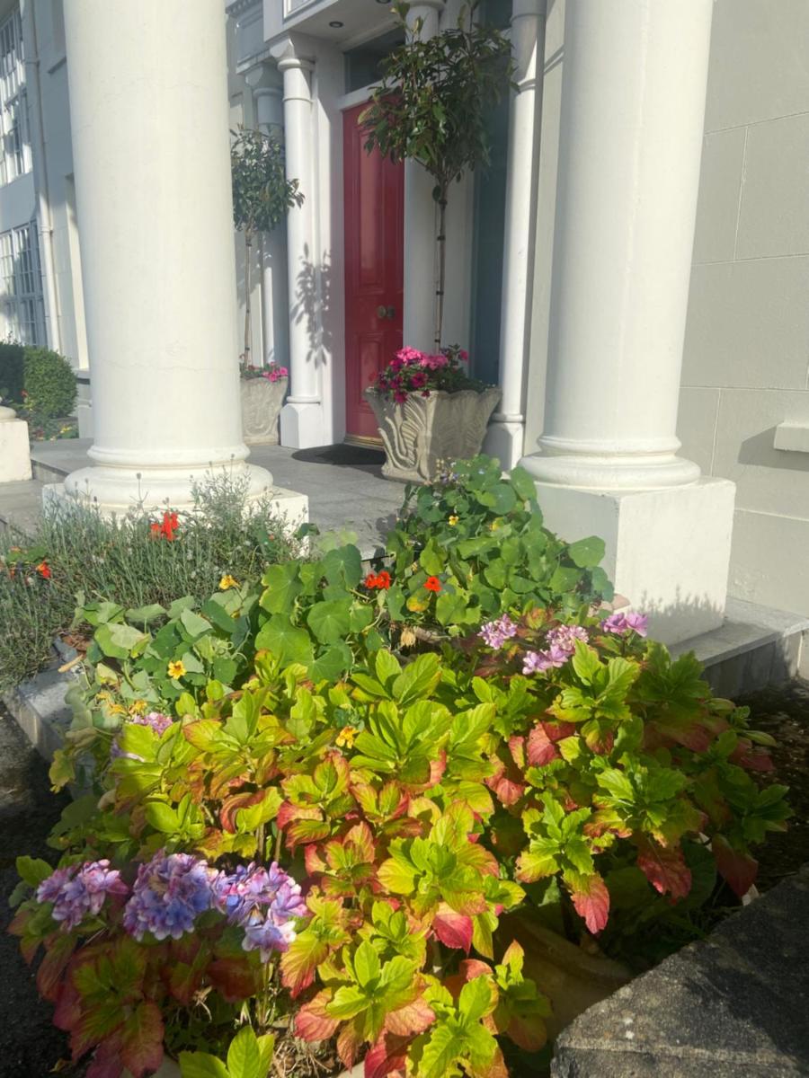 Redgate House Bed & Breakfast - Housity