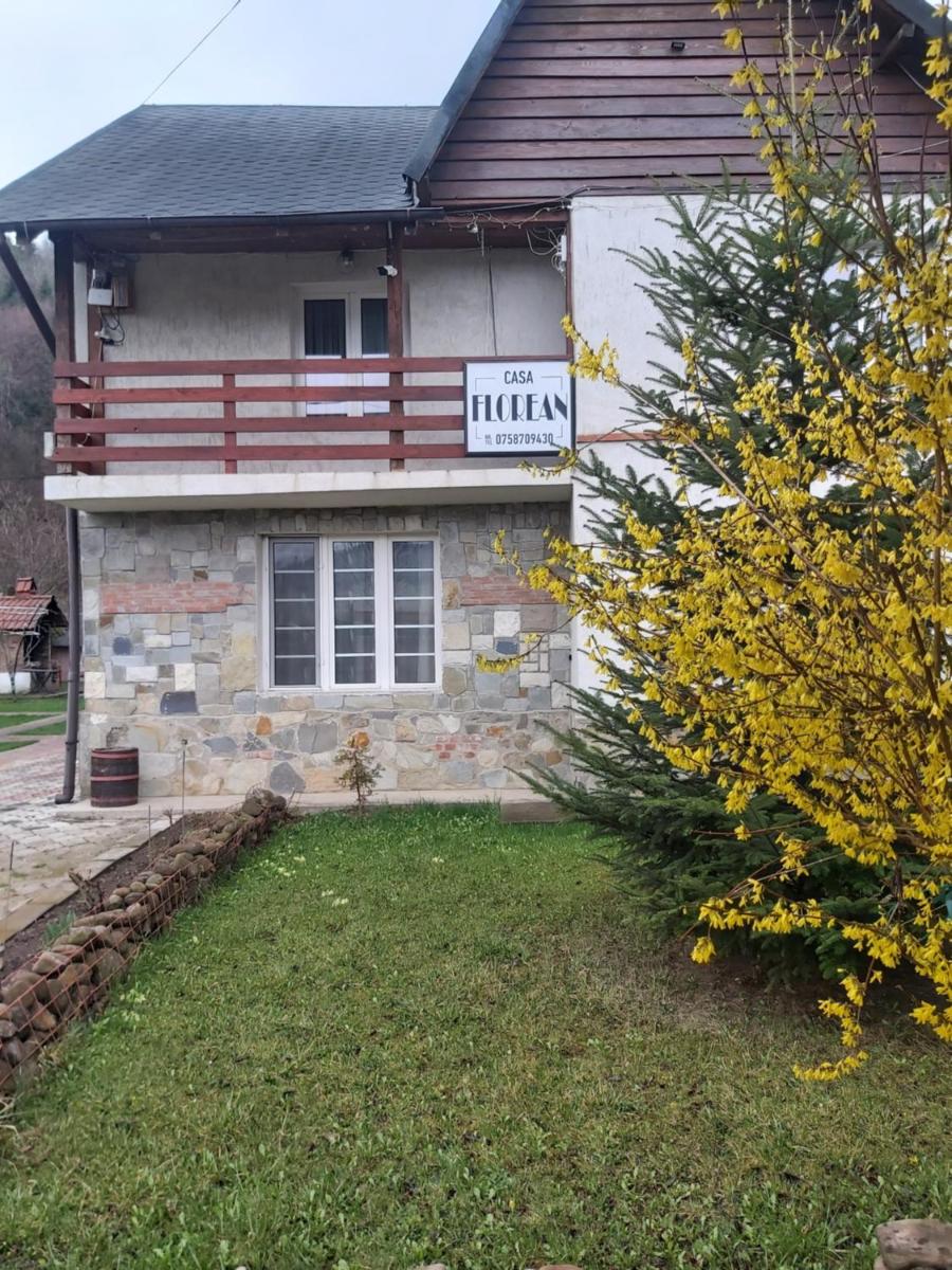 pensiune Casa Florean - Housity