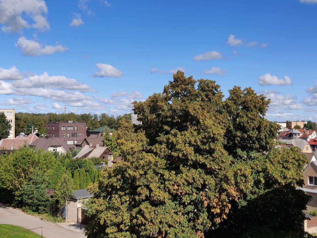 Centrinio parko apartamentai - Housity