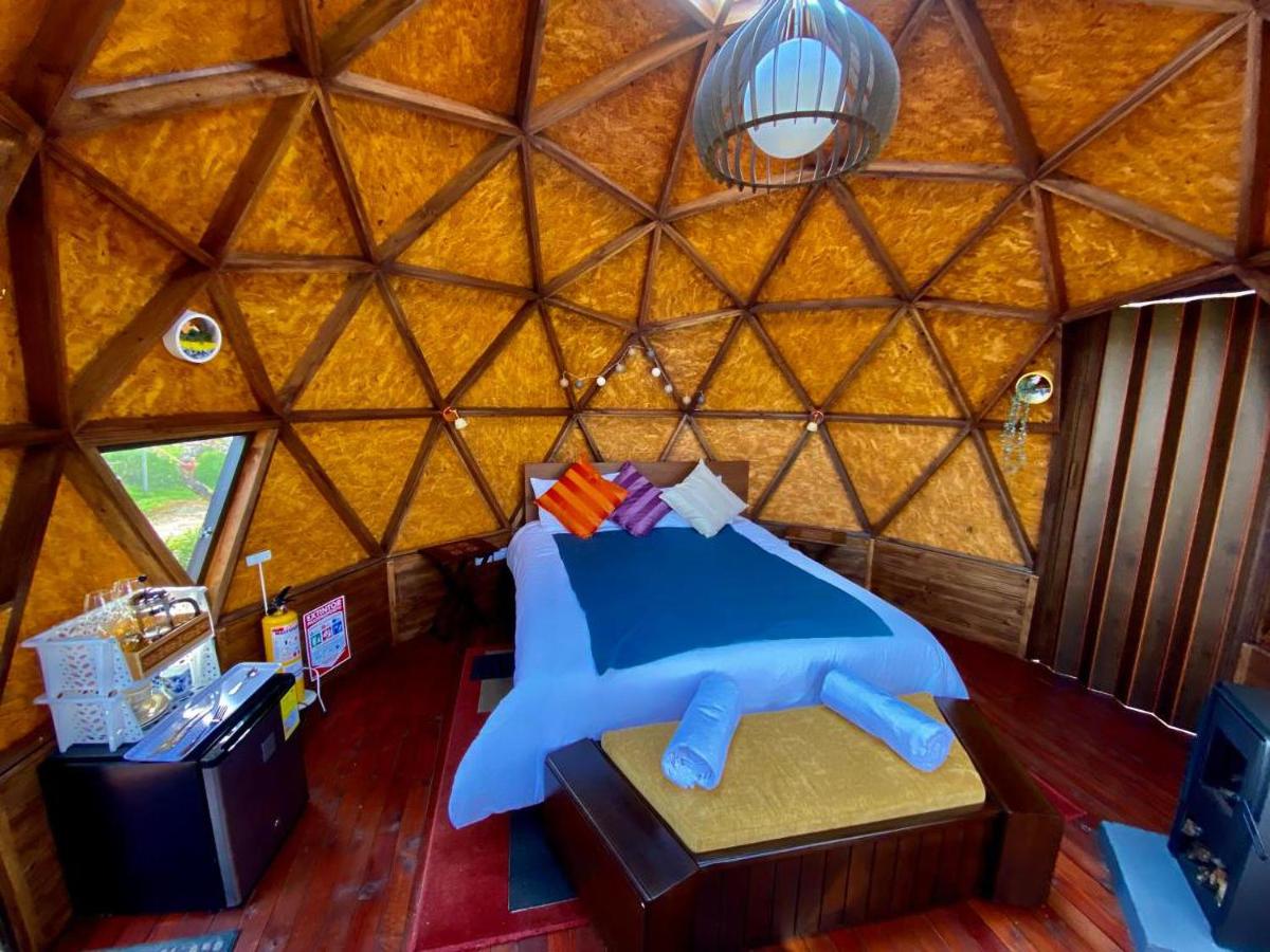 Voces de Aves Glamping - Housity