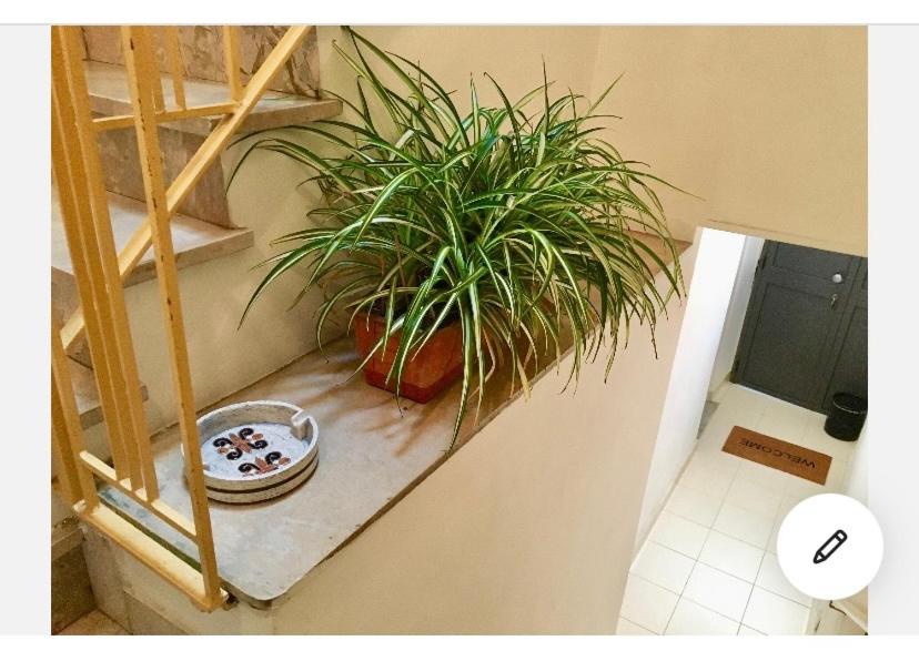 Casa Tanina - Housity